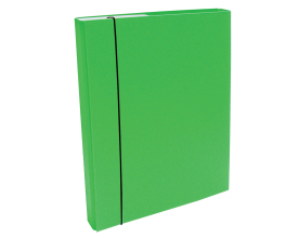 Document File A4/30 PP with elastic holder, Green Light 
