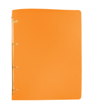 Level Arch File with 4 ring binder A4/20 PP Lines, transparent, Orange