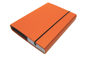 Document File A5/30 PP with elastic holder, Orange 